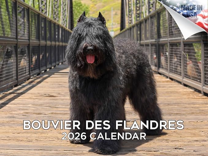 2025 2026 Bouvier Des Flandres Calendar - Dog Breed Monthly Wall Calendar - 12" x 18" Open - Thick No-Bleed Paper - Giftable - Academic Teacher's Planner Calendar Organizing & Planning - Made in USA