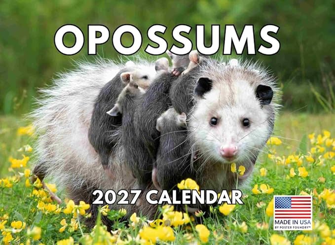 Opossum Calendar 2027 Monthly Wall Calender 12 Month