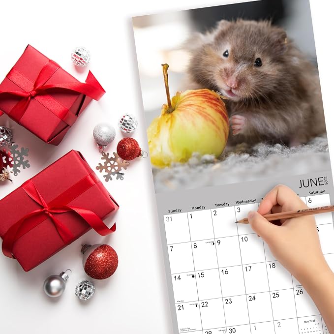 2026 Wall Calendar,Hamster Calendar 2026, Monthly Wall Calendar, 12" x 24" Open,Family Planner Calendar Organizer with funny hamster Images