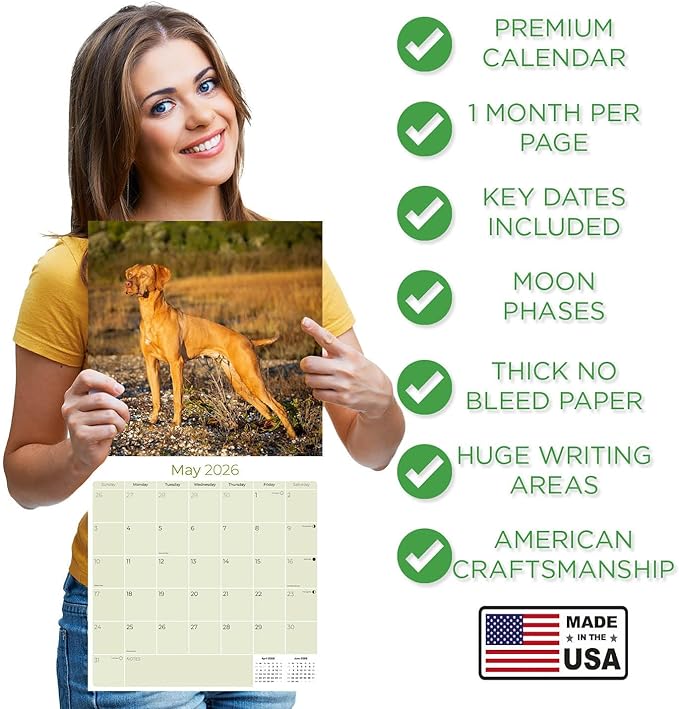 Vizsla Calendar 2026 by MegaCalendars – Monthly Dog Breed Wall Calendar, Made in USA