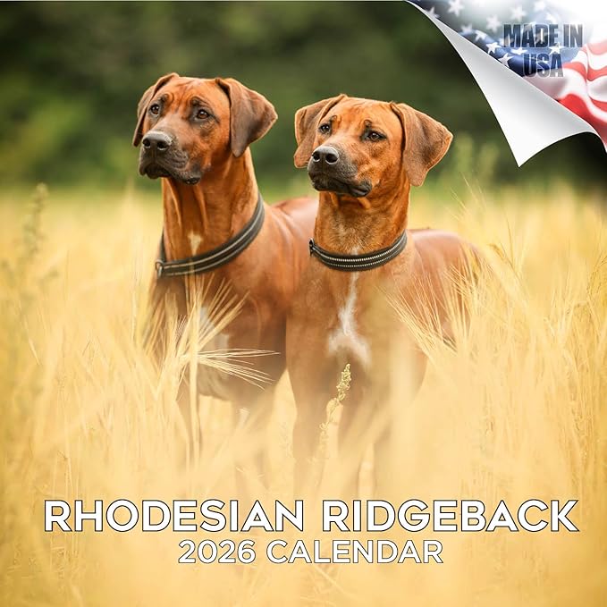 Rhodesian Ridgeback Calendar 2026 by MegaCalendars – Monthly Dog Breed Wall Calendar, Made in USA