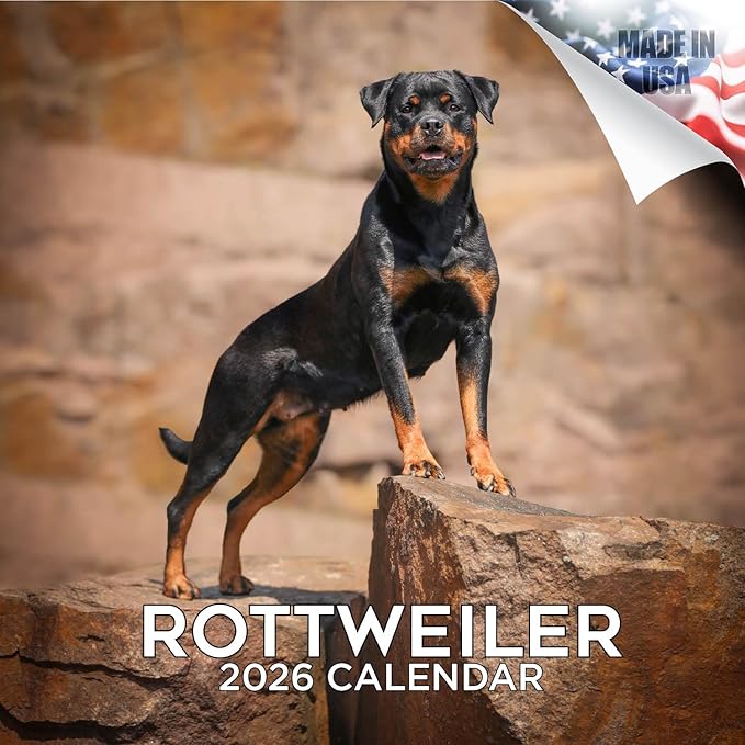 Rottweiler Calendar 2026 by MegaCalendars – Monthly Dog Breed Wall Calendar, Made in USA