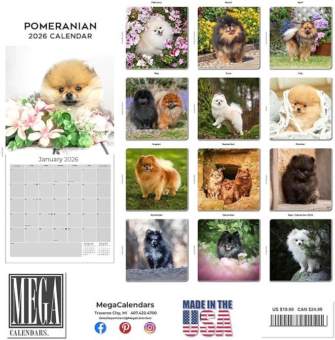 Pomeranian Calendar 2026 – 16-Month Dog Breed Wall Calendar by MegaCalendars – Large Daily Blocks, Thick No-Bleed Paper, Made in USA