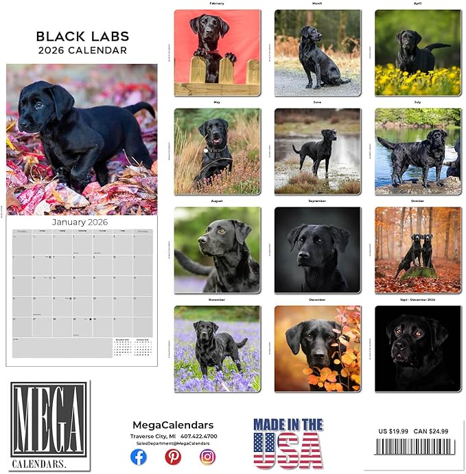 Black Labs Calendar 2026 – 16-Month Dog Breed Wall Calendar by MegaCalendars – Large Daily Blocks, Thick No-Bleed Paper, Made in USA