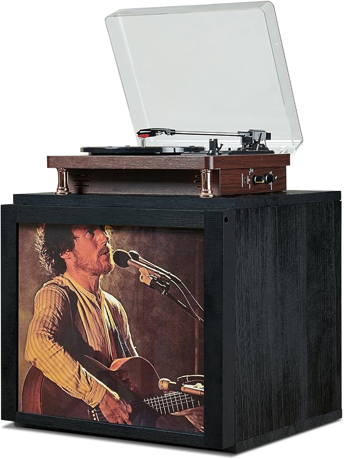 DGWJSU Vinyl Record Storage, Record Storage Box Holds 120 Records, Wooden Vinyl Holder Display Window(7″/10″/12″), Vinyl Storage For Music Corners, Display Collections, Home Theaters, Living Rooms