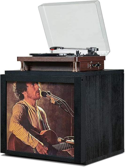 DGWJSU Vinyl Record Storage, Record Storage Box Holds 120 Records, Wooden Vinyl Holder Display Window(7″/10″/12″), Vinyl Storage For Music Corners, Display Collections, Home Theaters, Living Rooms