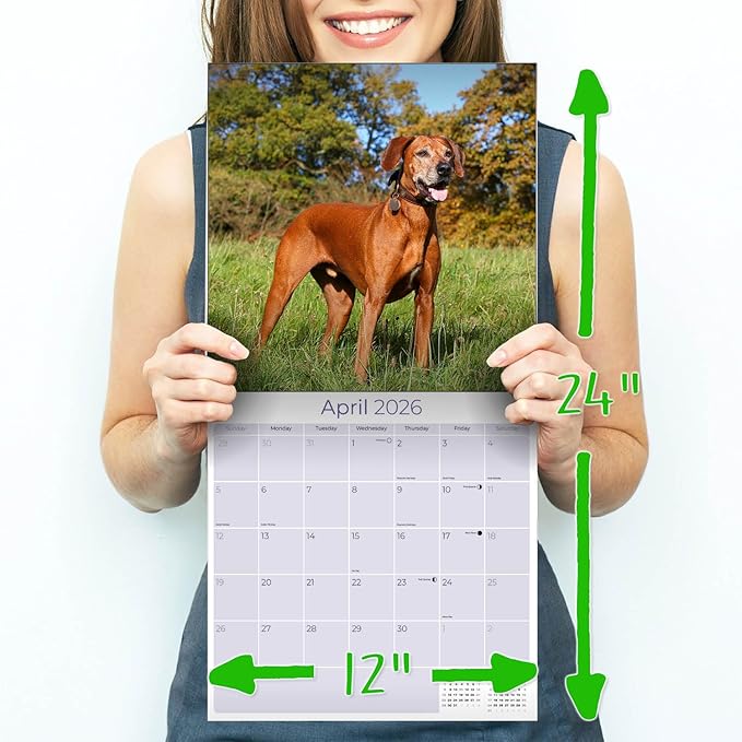 Rhodesian Ridgeback Calendar 2026 by MegaCalendars – Monthly Dog Breed Wall Calendar, Made in USA