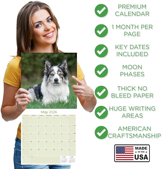 Border Collie Calendar 2026 by MegaCalendars – Monthly Dog Breed Wall Calendar, Made in USA