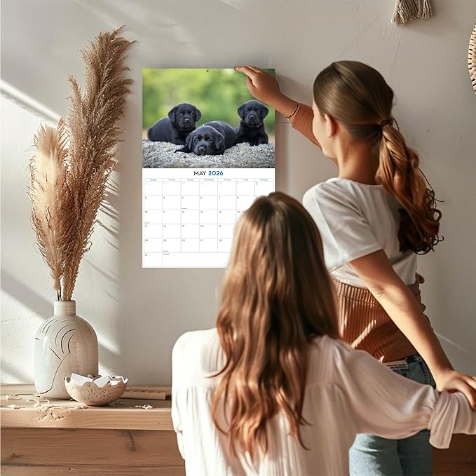 2025 2026 Labrador Pups Black Calendar - Dog Breed Monthly Wall Calendar - 12" x 18" Open - Thick No-Bleed Paper - Giftable - Academic Teacher's Planner Calendar Organizing & Planning - Made in USA