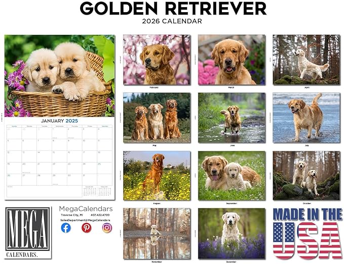 2025 2026 Golden Retriever Calendar - Dog Breed Monthly Wall Calendar - 12" x 18" Open - Thick No-Bleed Paper - Giftable - Academic Teacher's Planner Calendar Organizing & Planning - Made in USA