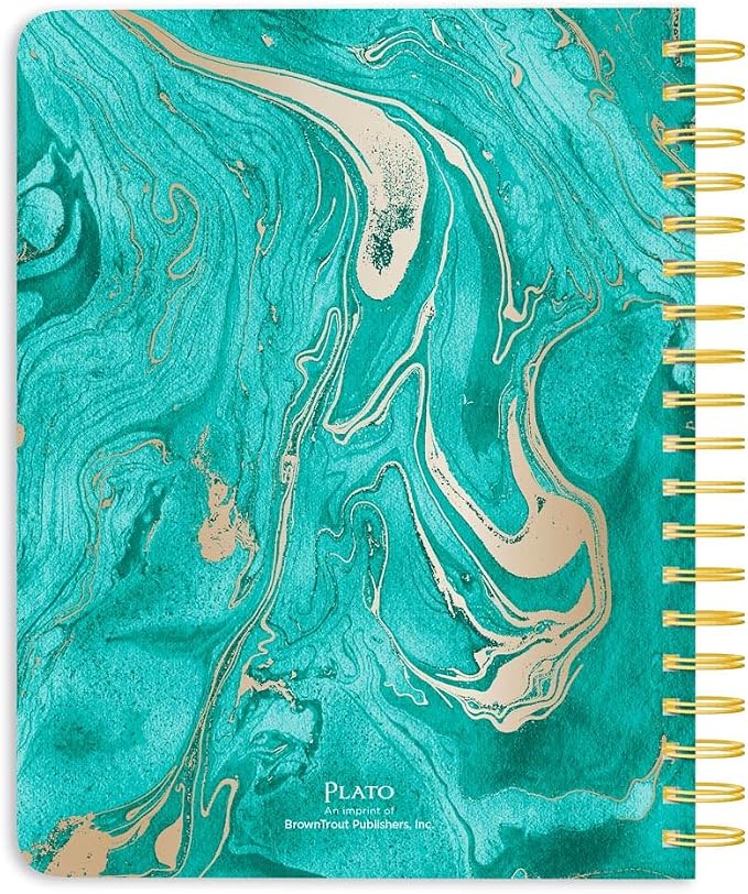 Crackled Blush | 2027 6 x 7.75 Inch 18 Months Weekly Desk Planner | Foil Stamped Cover | July 2026 - December 2027 | Plato | Planning Stationery