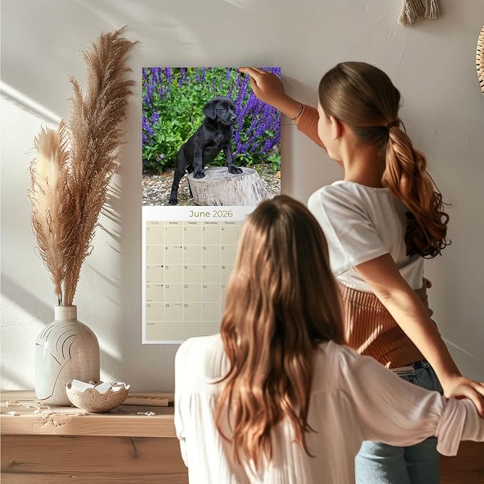 Labrador Pups Black Calendar 2026 by MegaCalendars – Monthly Dog Breed Wall Calendar, Made in USA