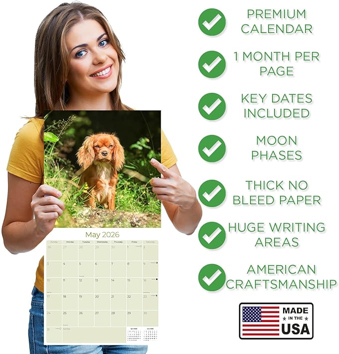 Cavalier King Charles Calendar 2026 by MegaCalendars – Monthly Dog Breed Wall Calendar, Made in USA