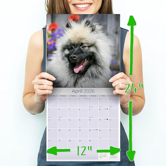 Keeshond Calendar 2026 by MegaCalendars – Monthly Dog Breed Wall Calendar, Made in USA