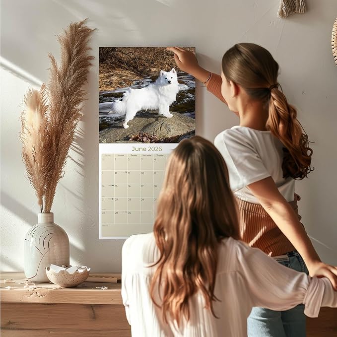 American Eskimo Calendar 2026 – 16-Month Dog Breed Wall Calendar by MegaCalendars – Large Daily Blocks, Thick No-Bleed Paper, Made in USA