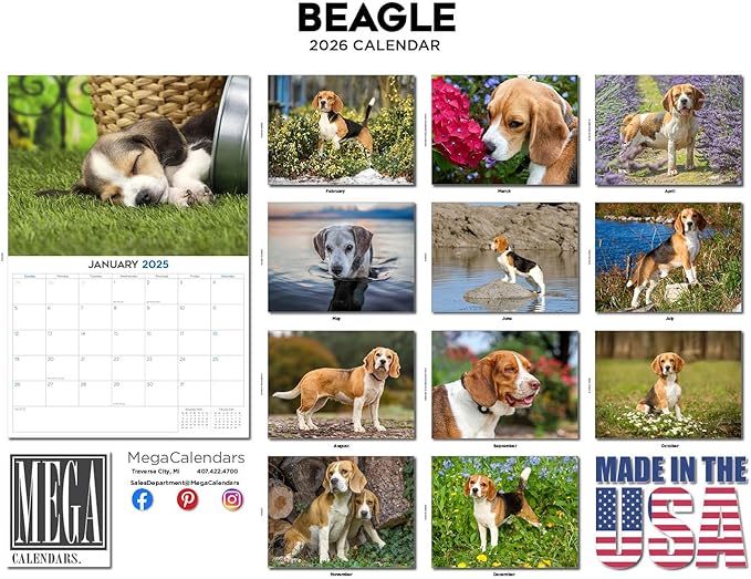 2025 2026 Beagle Calendar - Dog Breed Monthly Wall Calendar - 12" x 18" Open - Thick No-Bleed Paper - Giftable - Academic Teacher's Planner Calendar Organizing & Planning - Made in USA