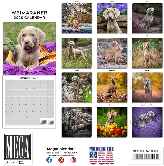 Weimaraner Calendar 2026 – 16-Month Dog Breed Wall Calendar by MegaCalendars – Large Daily Blocks, Thick No-Bleed Paper, Made in USA
