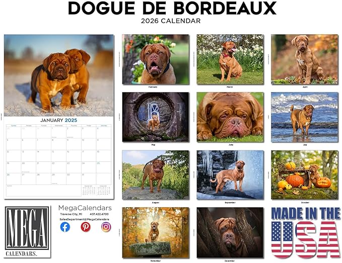 2025 2026 Dogue De Bordeaux Calendar - Dog Breed Monthly Wall Calendar - 12" x 18" Open - Thick No-Bleed Paper - Giftable - Academic Teacher's Planner Calendar Organizing & Planning - Made in USA