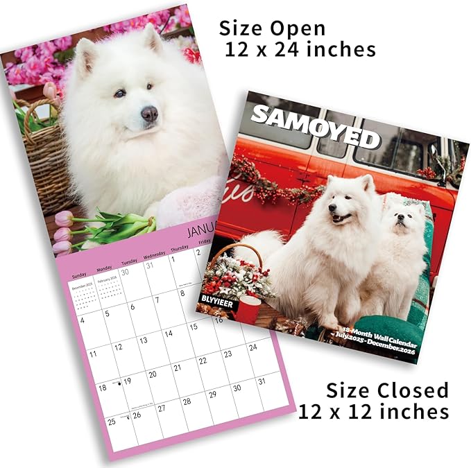 2025-2026 Wall Calendar,Samoyed Wall Calendar, 12" x 24" Open,Family Planner Calendar Organizer with Samoyed Images, for Dogs Lovers