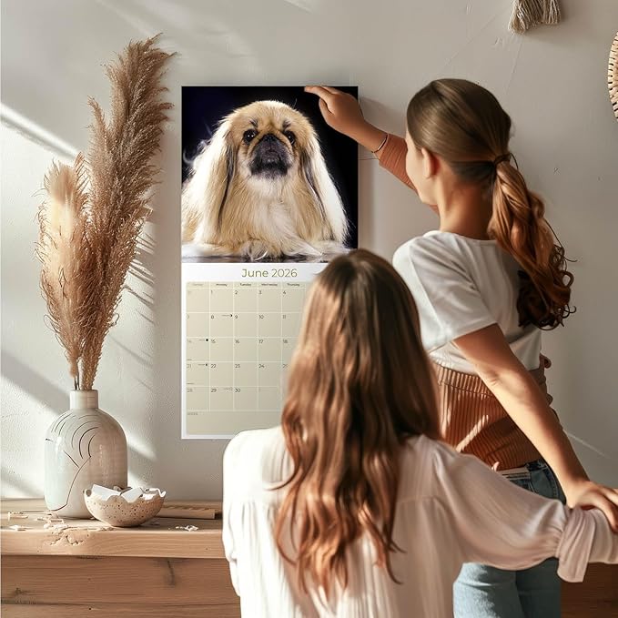 Pekingese Calendar 2026 by MegaCalendars – Monthly Dog Breed Wall Calendar, Made in USA