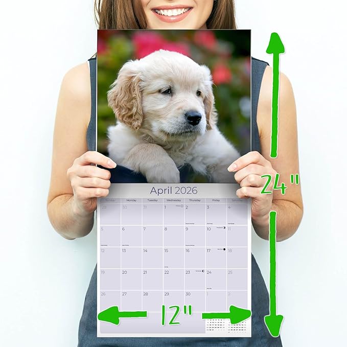 Golden Retriever Puppies Calendar 2026 – 16-Month Dog Breed Wall Calendar by MegaCalendars – Large Daily Blocks, Thick No-Bleed Paper, Made in USA