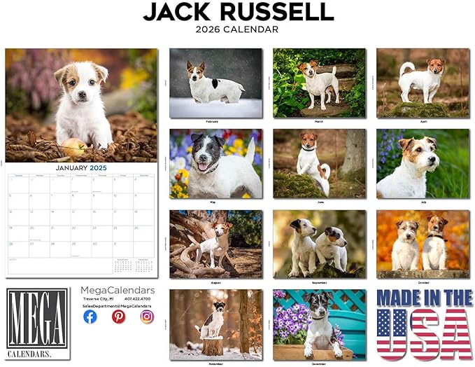 2025 2026 Jack Russell Calendar - Dog Breed Monthly Wall Calendar - 12" x 18" Open - Thick No-Bleed Paper - Giftable - Academic Teacher's Planner Calendar Organizing & Planning - Made in USA