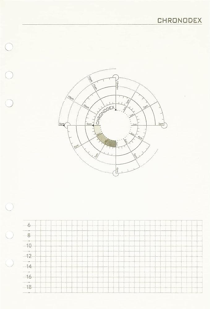 Zelten 1 Pack A5 45 Sheets/90 Pages Time Chart Loose Leaf Punched Paper Refills Paper for 6 Hole Binder Personal Organizer Diary Notebook Refillable Planner