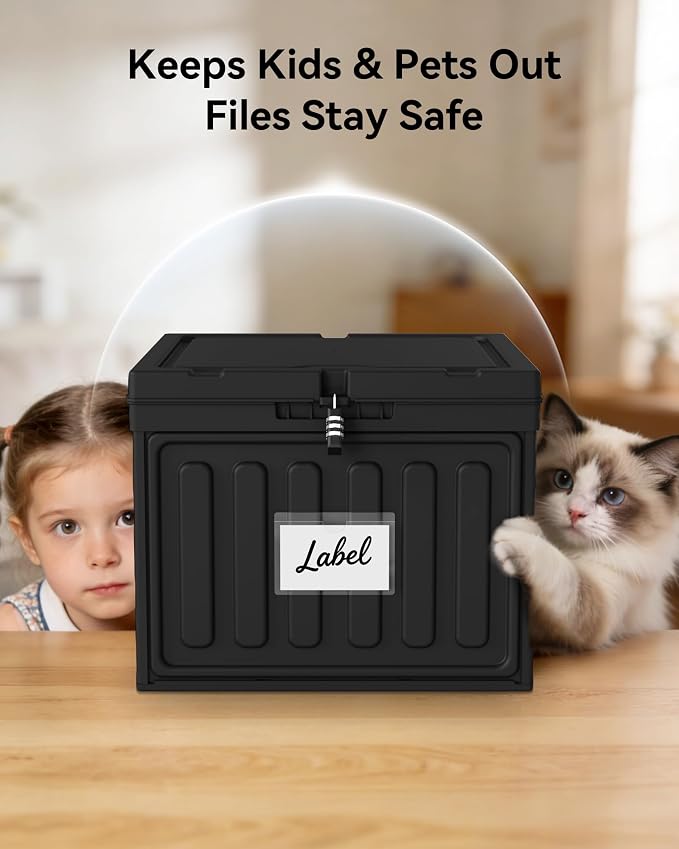Oterri Plastic File Box with Lid for Letter Size Hanging File Folders, Hanging File Folder Box for Home, Office, School, File Cabinet (Black, Large-1 Pack Without Folders)
