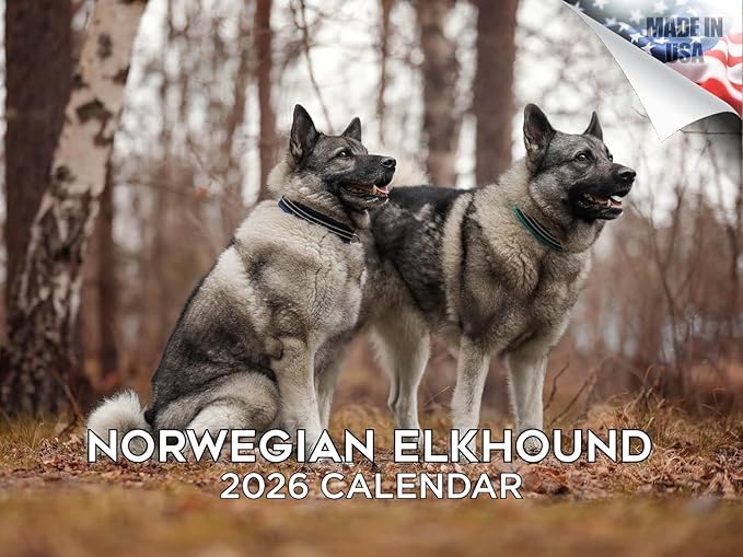 2025 2026 Norwegian Elkhound Calendar - Dog Breed Monthly Wall Calendar - 12" x 18" Open - Thick No-Bleed Paper - Giftable - Academic Teacher's Planner Calendar Organizing & Planning - Made in USA