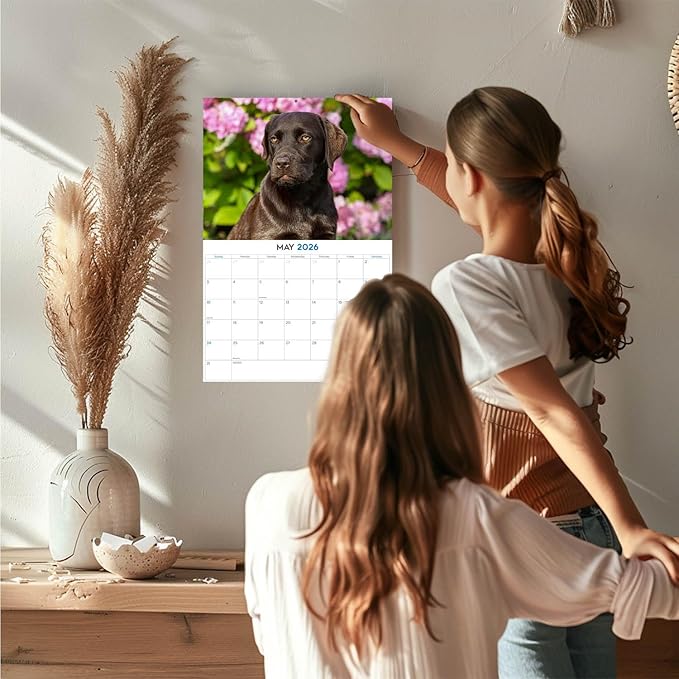 2025 2026 Labrador Chocolate Calendar - Dog Breed Monthly Wall Calendar - 12" x 18" Open - Thick No-Bleed Paper - Giftable - Academic Teacher's Planner Calendar Organizing & Planning - Made in USA