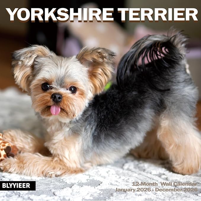 2026 Wall Calendar,Yorkshire Terrier Wall Calendar, 12" x 24" Open,Family Planner Calendar Organizer with Yorkshire Images, for Dogs Lovers