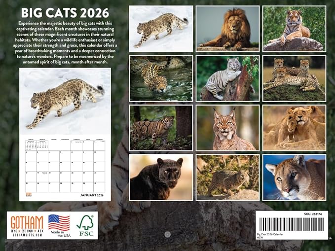 Wild Big Cats Calendar 2026 Wildlife Monthly Wall Calender 12 Month | American Made In The USA