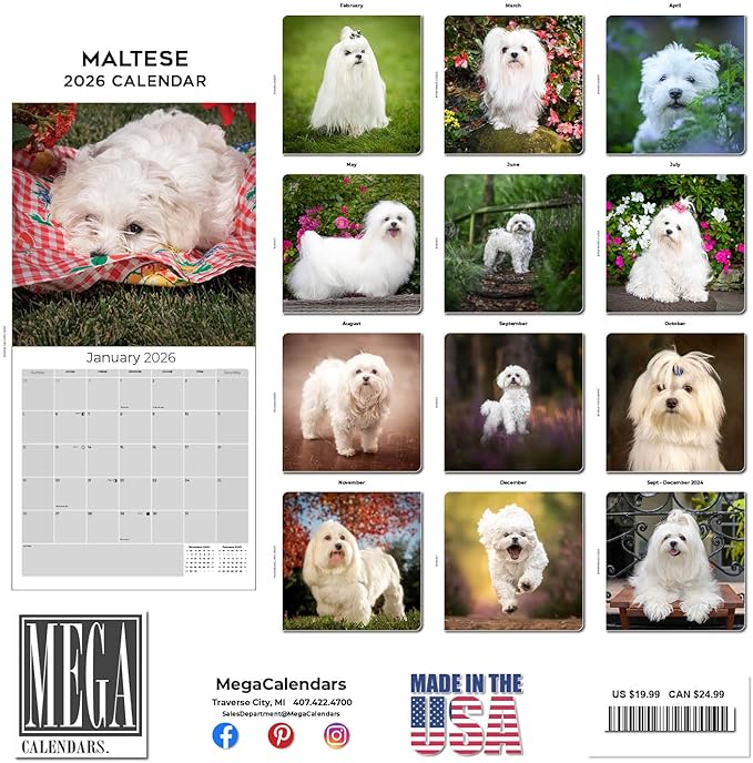 Maltese Calendar 2026 by MegaCalendars – Monthly Dog Breed Wall Calendar, Made in USA
