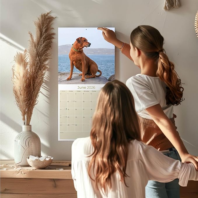 Rhodesian Ridgeback Calendar 2026 by MegaCalendars – Monthly Dog Breed Wall Calendar, Made in USA