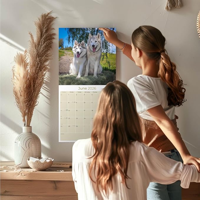 Siberian Husky Calendar 2026 – 16-Month Dog Breed Wall Calendar by MegaCalendars – Large Daily Blocks, Thick No-Bleed Paper, Made in USA