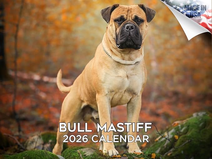 2025 2026 Bull Mastiff Calendar - Dog Breed Monthly Wall Calendar - 12" x 18" Open - Thick No-Bleed Paper - Giftable - Academic Teacher's Planner Calendar Organizing & Planning - Made in USA