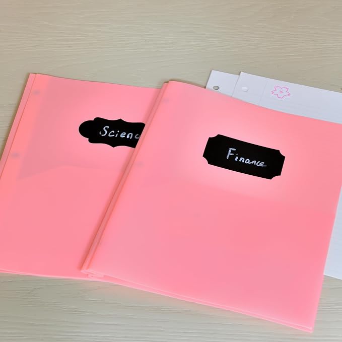 Youngever 6 Pack Heavy Duty Plastic Two Pocket Folders with 3 Prongs, Metal Prongs Fastener, Heavy Duty Plastic 2 Pocket Folder (Pink)