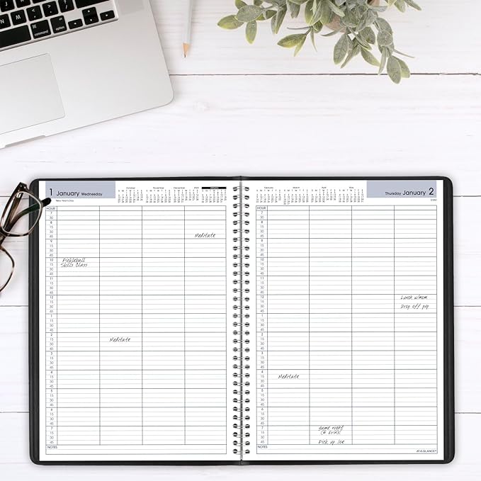 AT-A-GLANCE 2025 Appointment Book Planner, Daily, Four Person Group Planner, 8" x 11", Large, Quarter-Hourly, DayMinder, Black (G5600025)