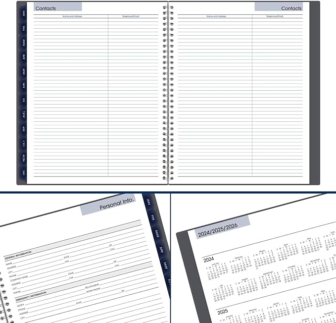AT-A-GLANCE 2025 Planner, Monthly, 8-1/2" x 11", Large, DayMinder, Gray (GC4700725)