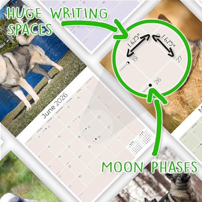 Norwegian Elkhound Calendar 2026 by MegaCalendars – Monthly Dog Breed Wall Calendar, Made in USA