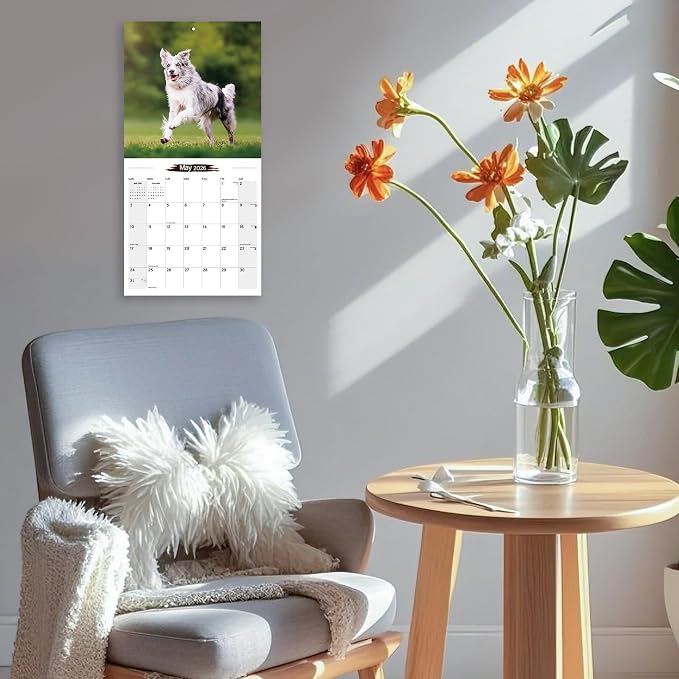 2026 Wall Calendar Border Collie Planner Calendar, Hangable Monthly Wall Calendar with Large Blocks for Organizing & Planning, Academic Schedule, Home, Office & family, Thick & Sturdy Paper (12"x24" Open)