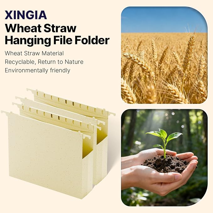 XINGIA Plastic Hanging File Folders, Letter Size File Cabinet Folders,Heavy Duty 2 Inch Expansion, Expandable Haning Folders,12 Pack Extra Capacity File Folders Hanging with Tabs for Filling Cabniet