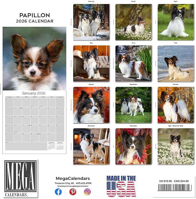 Papillon Calendar 2026 by MegaCalendars – Monthly Dog Breed Wall Calendar, Made in USA
