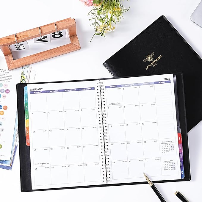 Appointment Book 2026-2027 - Appointment Planner 2026-2027 from July 2026 - June 2027, 2026-27 Weekly Appointment Book with Colorful Tabs, 9" x 11", Daily/Hourly Planner, 15-Minute Increments
