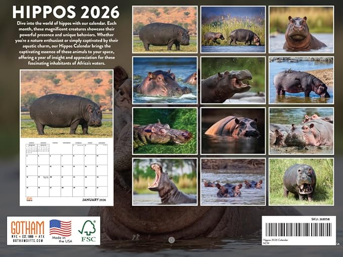 Hippo Calendar 2026 Hippopotamus Hippos Monthly Wall Calender 12 Month | American Made In The USA