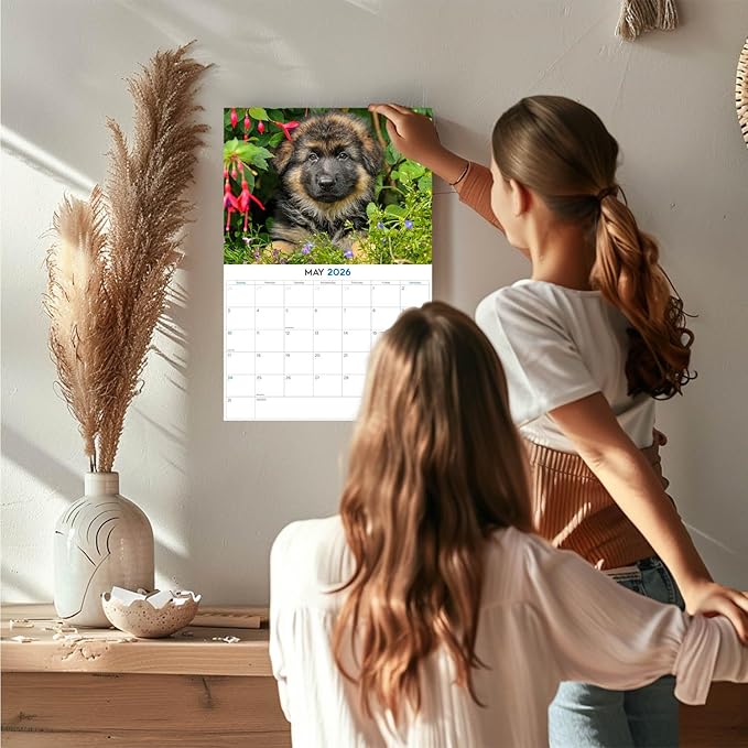 2025 2026 German Shepherd Pups Calendar - Dog Breed Monthly Wall Calendar - 12" x 18" Open - Thick No-Bleed Paper - Giftable - Academic Teacher's Planner Calendar Organizing & Planning - Made in USA