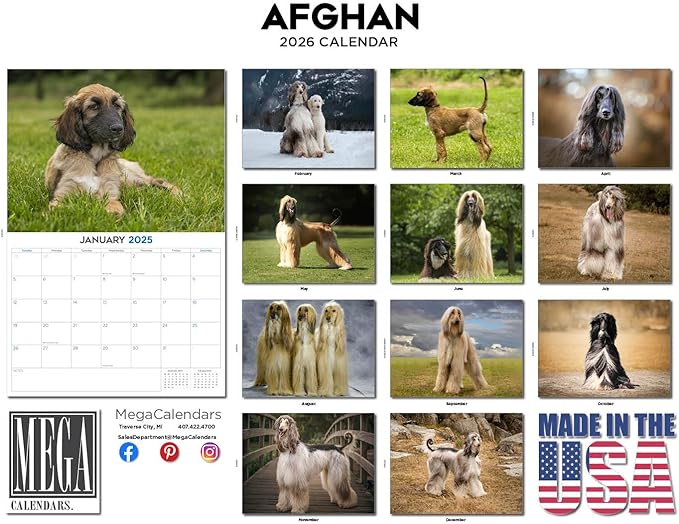 2025 2026 Afghan Hound Calendar - Dog Breed Monthly Wall Calendar - 12" x 18" Open - Thick No-Bleed Paper - Giftable - Academic Teacher's Planner Calendar Organizing & Planning - Made in USA