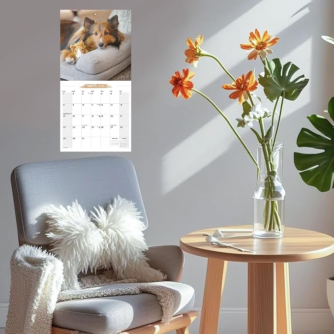 2026 Wall Calendar Shetland Sheepdog Planner Calendar, Hangable Monthly Dogs Wall Calendar with Large Blocks for Organizing & Planning, Academic Schedule, Home, Office & family, Thick & Sturdy Paper (12"x24" Open)