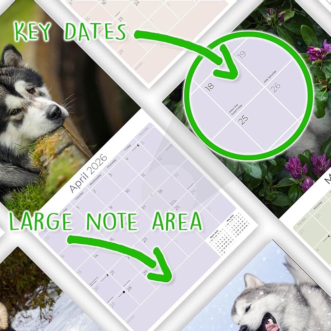 Alaskan Malamute Calendar 2026 by MegaCalendars – Monthly Dog Breed Wall Calendar, Made in USA