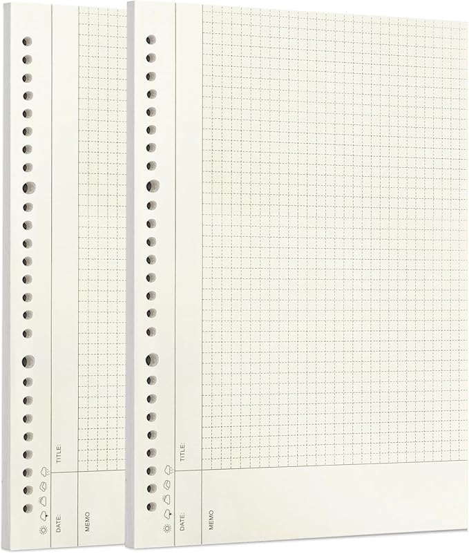 Zelten 2 Pack B5 120 Sheets/240 Pages Connell Blank Loose Leaf Punched Paper Refills Paper for 26 Hole Binder Personal Organizer Diary Notebook Refillable Planner